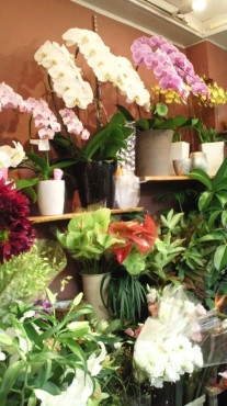 東京都渋谷区の花屋 三正生花にフラワーギフトはお任せください 当店は 安心と信頼の花キューピット加盟店です 花キューピットタウン